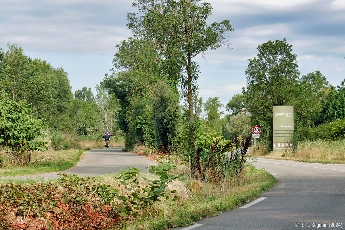 Grand Parc Miribel Jonage, un espace hors du commun aux portes de Lyon