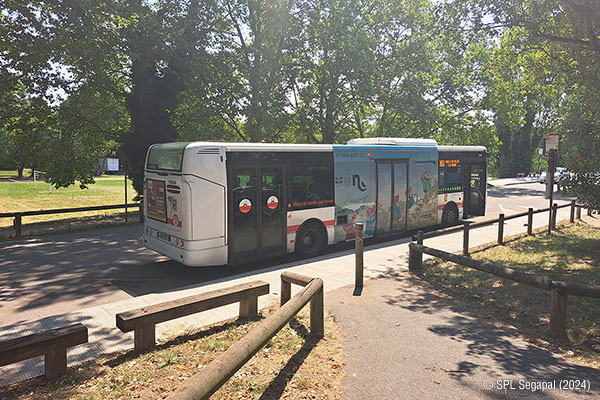 Accès au Grand Parc toute l'année.